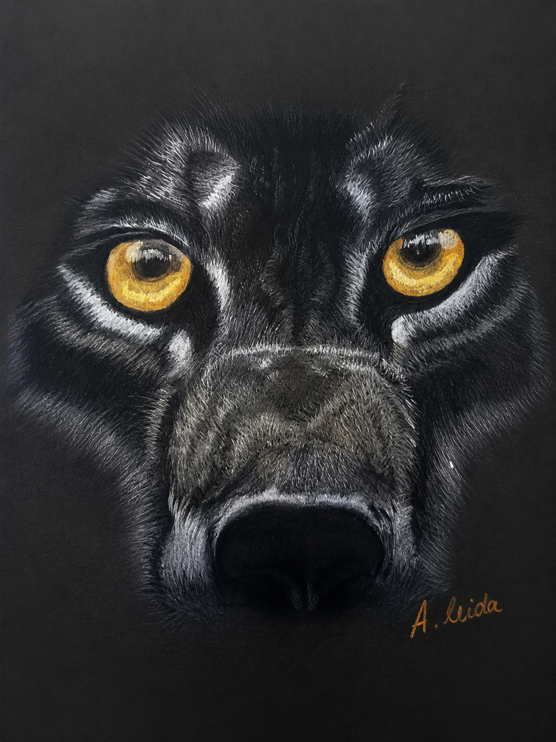 Lobo en la penumbra